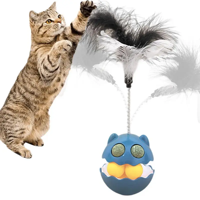 

Cat Feather Toy Exercise Interactive Teaser Cat Toys With Catnips Feather Cat Stick For Indoor Cats Kitten Play Exercise