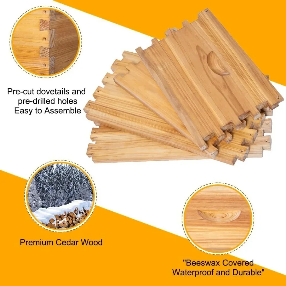 8-Frame Bee Hives Starter Kit with 2 Deep Bee Boxes 2 Medium Hive Boxes with Beehive Frames and Beeswax Coated Sheet
