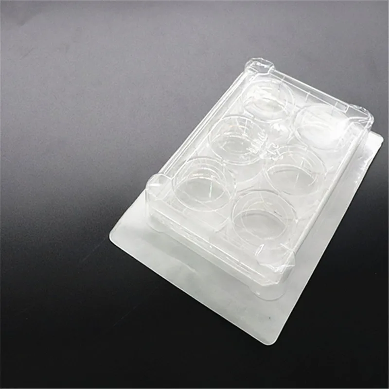 6 Well 24Wells Glass Bottom Cell Culture Plate 1/Pk