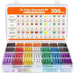 Comprehensive Automotive Blade Fuse Assortment Kit with Storage Box - 300 Piece Set (300pcs)