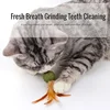 Catnip Balls for Cats: Healthy, Interactive Toys 6