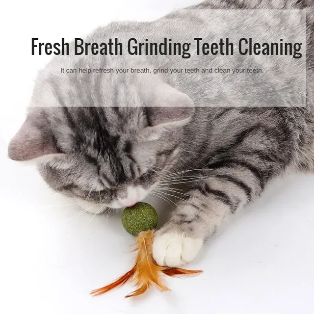 Catnip Toy Cat Mint Ball 6