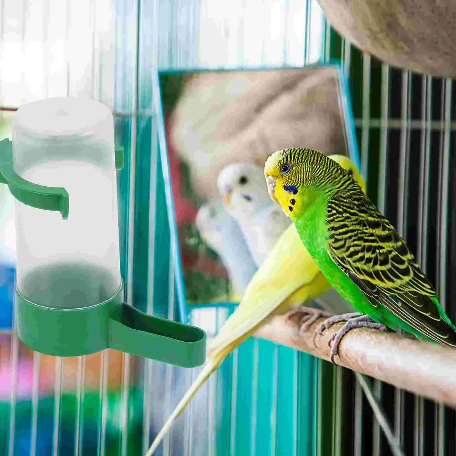 Bird Feeder Parrot Feeder Parrot Feeding Bowl Bird Water Drinker Pet Water Feeder for Bird
