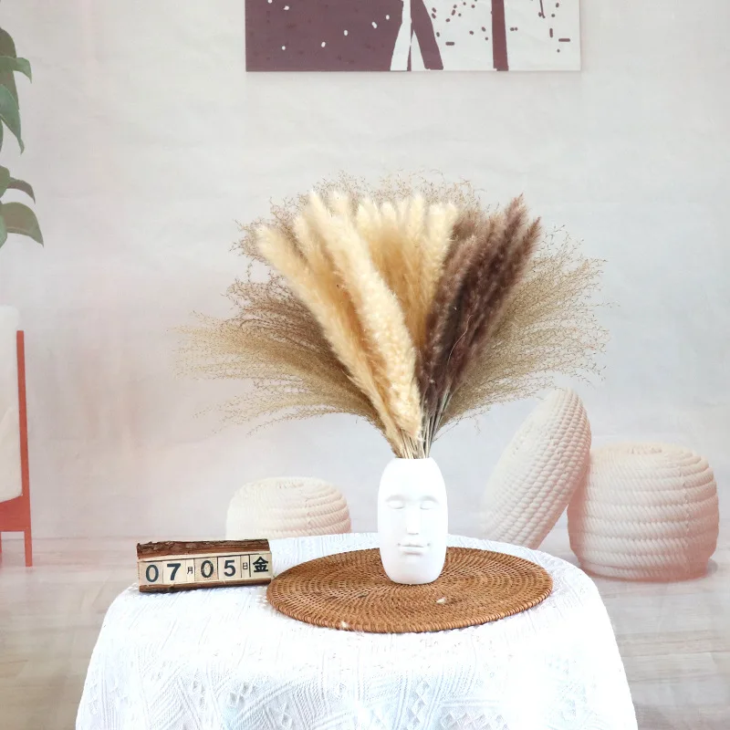 

Natural Dried Pampas Grass Bouquet Boho Home Style Decor Phragmites Dried Flowers Bouquet for Wedding Decor Arrange Dekoration