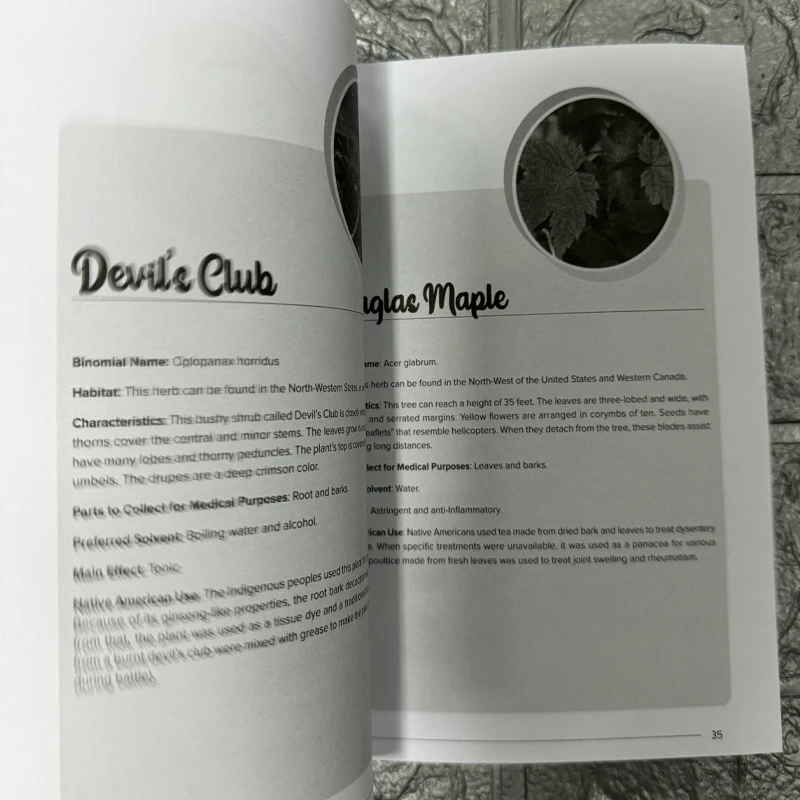 The Herbal Remedies & Natural Medicine Bible The Ultimate Collection of Healing Herbs and Plants to Grow English Paperback Book 5 The Herbal Remedies & Natural Medicine Bible The Ultimate Collection of Healing Herbs and Plants to Grow English Paperback Book 5