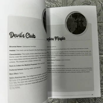 The Herbal Remedies & Natural Medicine Bible The Ultimate Collection of Healing Herbs and Plants to Grow English Paperback Book 5 The Herbal Remedies & Natural Medicine Bible The Ultimate Collection of Healing Herbs and Plants to Grow English Paperback Book 5