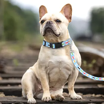 Nylon Cute Puppy Dog Collar Leash Set Adjustable Flower Cat Collars Walking Leashes For Small Medium Pets XS S M 5