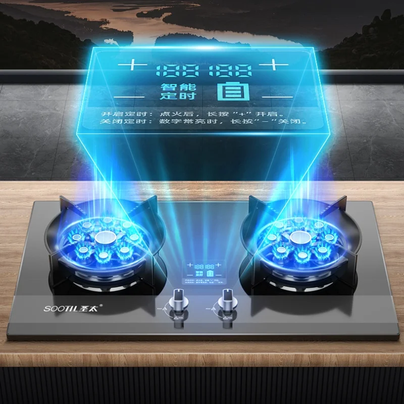Gas Cooker 2 Burner Countertop Built-in Dual Use Quemadores De Cocina A Gas Cooktop Fierce Fire Power Cocina A Range Stove