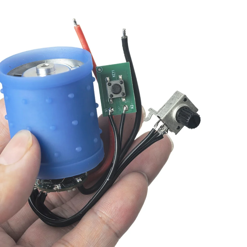 Générateur de fumée de remplacement Bradley BS611, 120 V | Fumeur Bradley