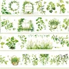 2m/Roll Spring Garden Country Style Trees and Grass PET Tape For DIY Sticker Scrapbooking Journal Collage Material 5