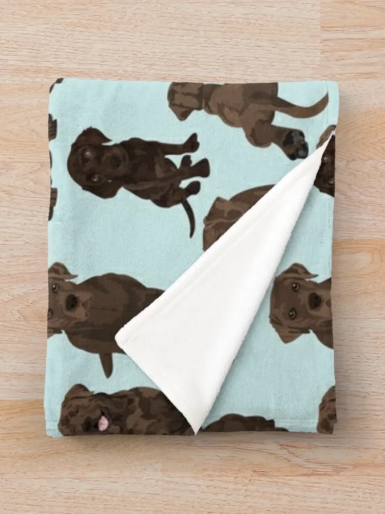 �� ���Ŀ� ���ݸ� �� ������ ���, �Ƹ��ٿ� �÷��� �����̳� ���