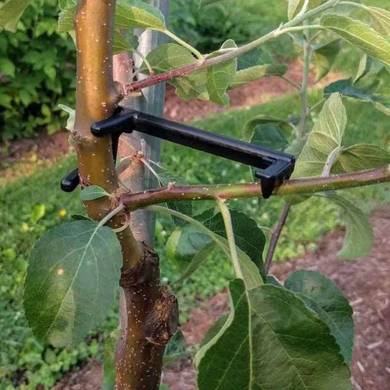 Fruit Tree Branch Puller Plant Vines Support Clips Twisting Shapers Twist Styling Bonsai Curved Elbow Garden Tool