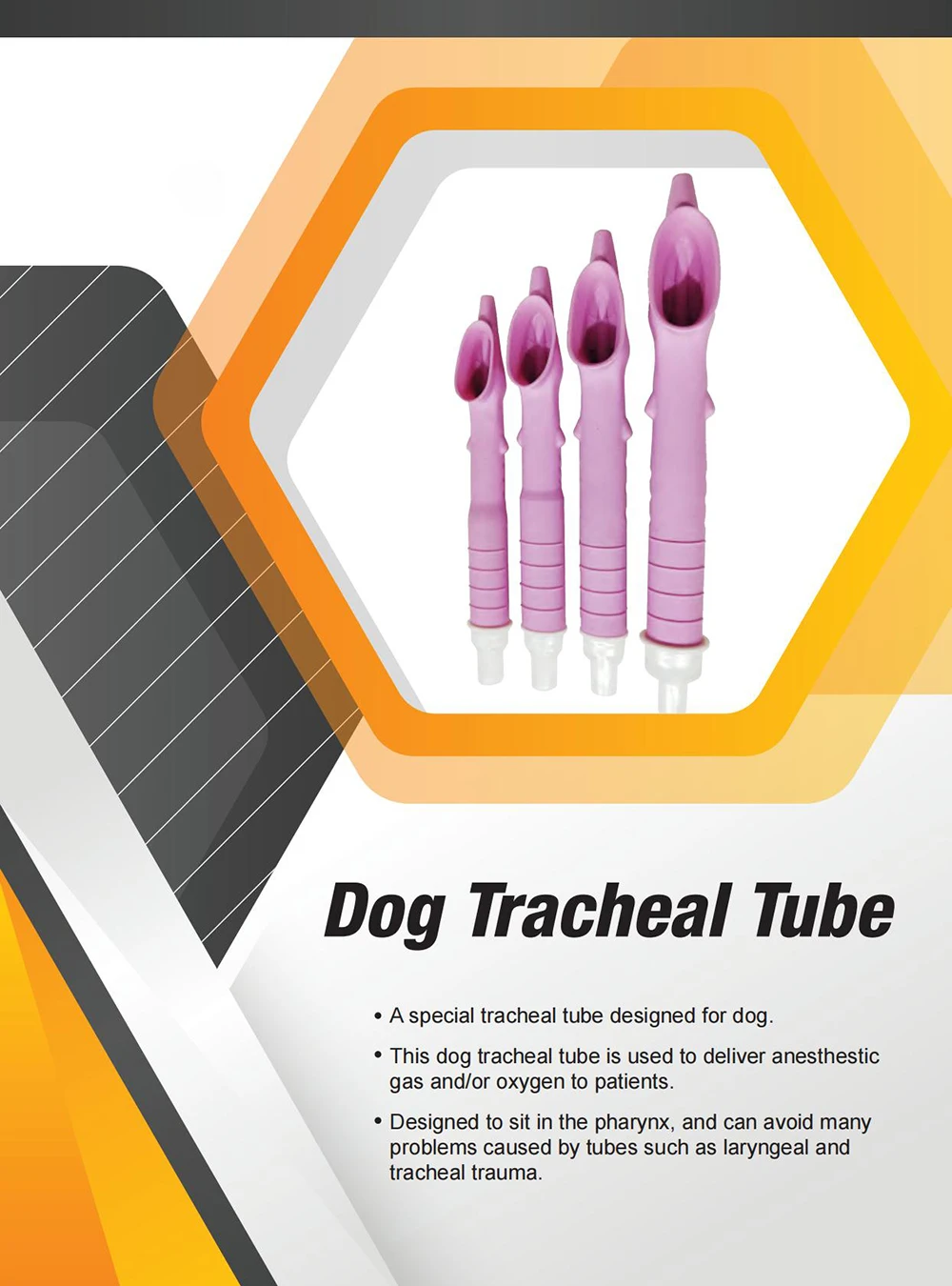 Canine Tracheal Intubation Blind Insertion of Anesthesia Gas Or Oxygen for Dogs Non-invasive Specialized Dogs Pet Medical Room pet anesthesia machine accessories pet surgical accessories