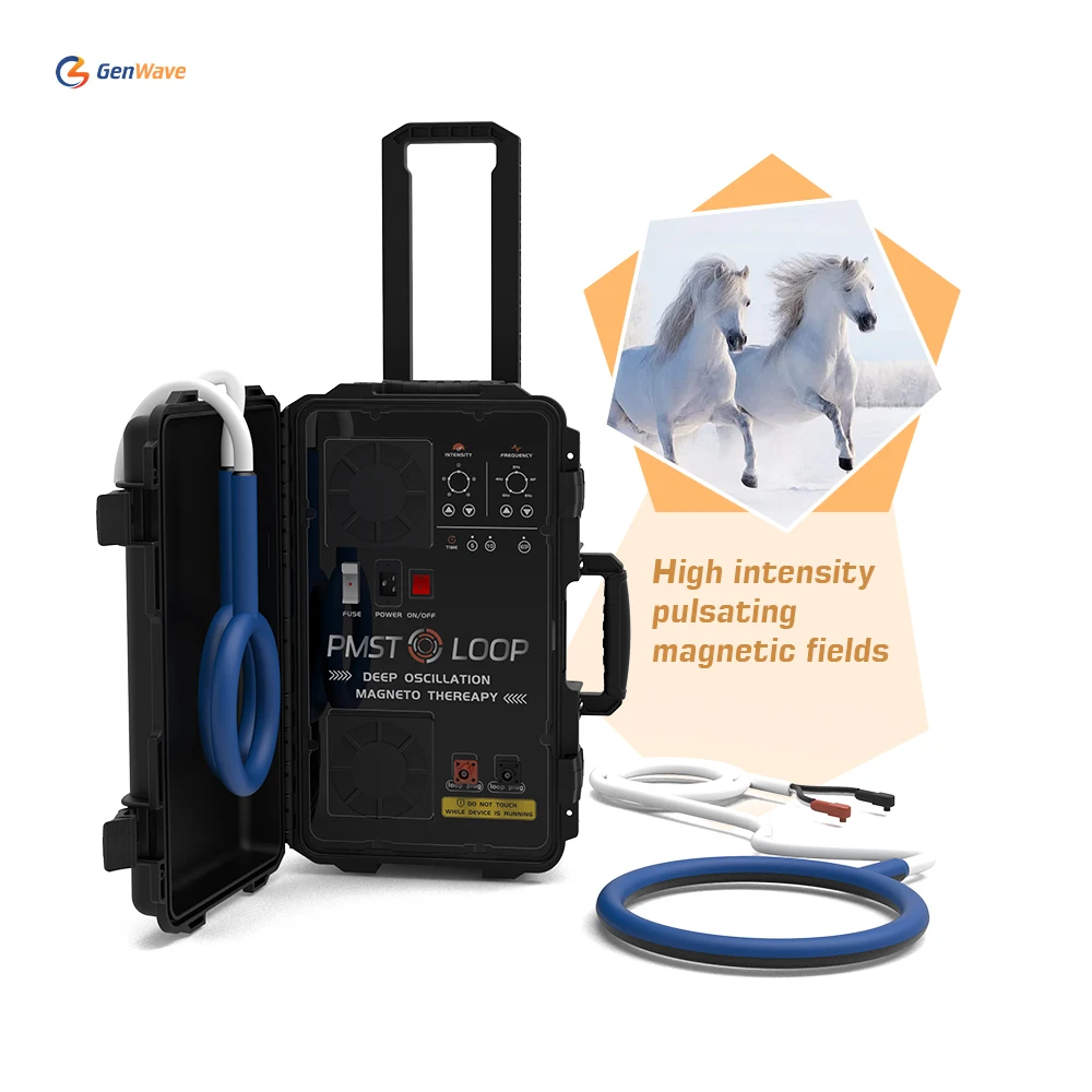Pemf Therapy Pmst Loop Magnewave Machie Per Lamintis Horses 6000Gs Energy