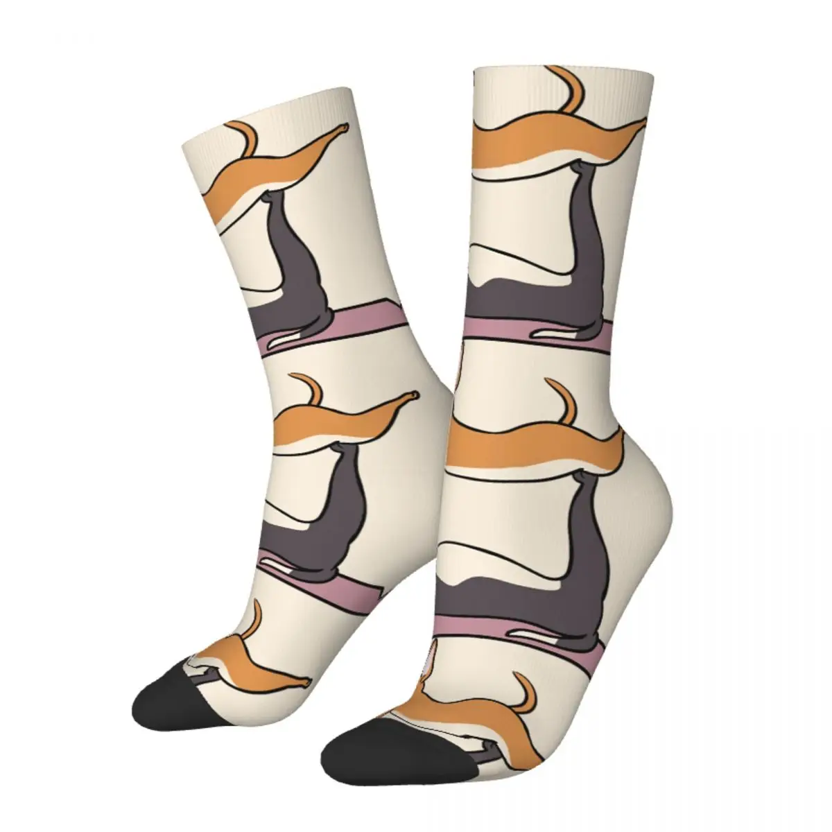 ΠΠ°Π±Π°Π²Π½ΡΠ΅ ΡΡΠ°ΡΡΠ»ΠΈΠ²ΡΠ΅ ΠΌΡΠΆΡΠΊΠΈΠ΅ Π½ΠΎΡΠΊΠΈ Acroyoga Π² ΡΡΠΈΠ»Π΅ ΡΠ΅ΡΡΠΎ Harajuku ΡΠΎΠ±Π°ΠΊΠ° Π§ΠΈΡ
ΡΠ°Ρ
ΡΠ° Π²Π»ΡΠ±Π»Π΅Π½Π½ΡΠ΅ Π² ΡΠ»ΠΈΡΠ½ΠΎΠΌ ΡΡΠΈΠ»Π΅ Π½Π΅ΠΎΠ±ΡΡΠ½ΡΠ΅ Π΄ΠΈΠ·Π°ΠΉΠ½Π΅ΡΡΠΊΠΈΠ΅ Π½ΠΎΡΠΊΠΈ ΠΠ°Π±Π°Π²Π½ΡΠ΅ ΡΡΠ°ΡΡΠ»ΠΈΠ²ΡΠ΅ ΠΌΡΠΆΡΠΊΠΈΠ΅ Π½ΠΎΡΠΊΠΈ Acroyoga Π² ΡΡΠΈΠ»Π΅ ΡΠ΅ΡΡΠΎ Harajuku ΡΠΎΠ±Π°ΠΊΠ° Π§ΠΈΡ
ΡΠ°Ρ
ΡΠ° Π²Π»ΡΠ±Π»Π΅Π½Π½ΡΠ΅ Π² ΡΠ»ΠΈΡΠ½ΠΎΠΌ ΡΡΠΈΠ»Π΅ Π½Π΅ΠΎΠ±ΡΡΠ½ΡΠ΅ Π΄ΠΈΠ·Π°ΠΉΠ½Π΅ΡΡΠΊΠΈΠ΅ Π½ΠΎΡΠΊΠΈ