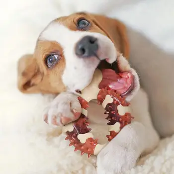 Dog Bone Toy Chew supplies For Puppies Pet Teething Bite resistant nylon bones Pet Teether Supplies For Small Medium Dogs 2