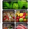 Commercial Bubble Vegetable Washer Dish-Washing Machine Washing Vegetable Commercial Meat Washing Machine 3
