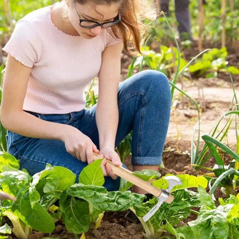 Pick Axes for Digging Stainless Steel 2 In 1 for Planting Camping