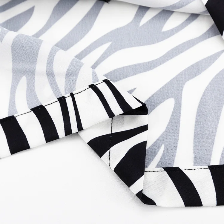 Women Two Piece Sets Outfits Zebra Printed Loose Shirt Tops And High Waist Shorts Set 2025 Casual Streetwear Summer New