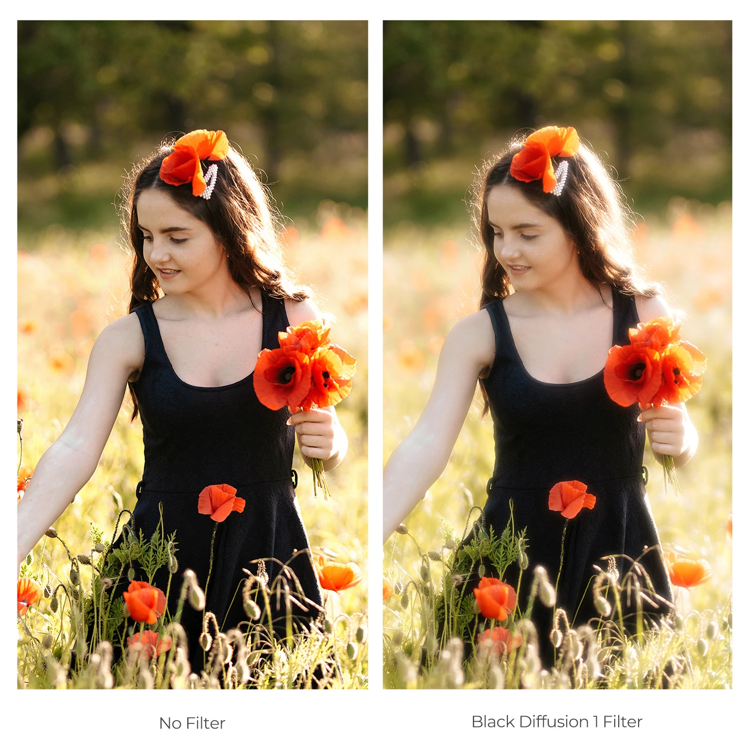 Slide image 61bb1ef7bb24416296a6564206a96242