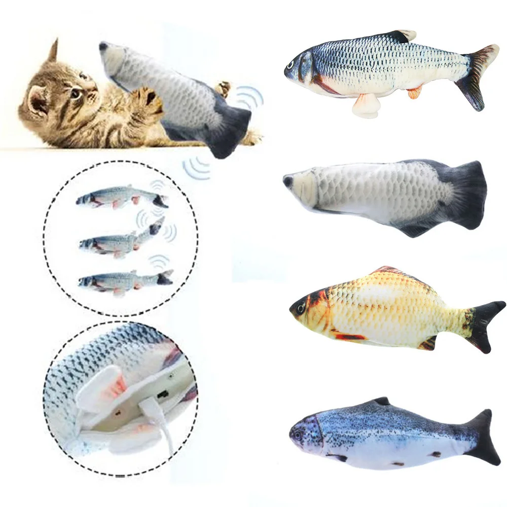 fishfordog