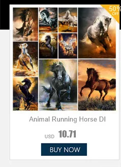 Description Picture 3 of itemFlowers Rose Tuilp Poppy DIY Painting By Numbers Set Oil Paints 40*50 Picture By Numbers Photo Decorative Paintings For Adults