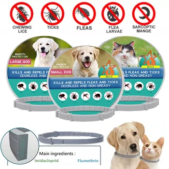 개 벼룩과 진드기 방지 고양이 목걸이, 애완동물 8 개월 보호, 개폐식 애완동물 목걸이, 강아지 고양이 대형견 액세서리