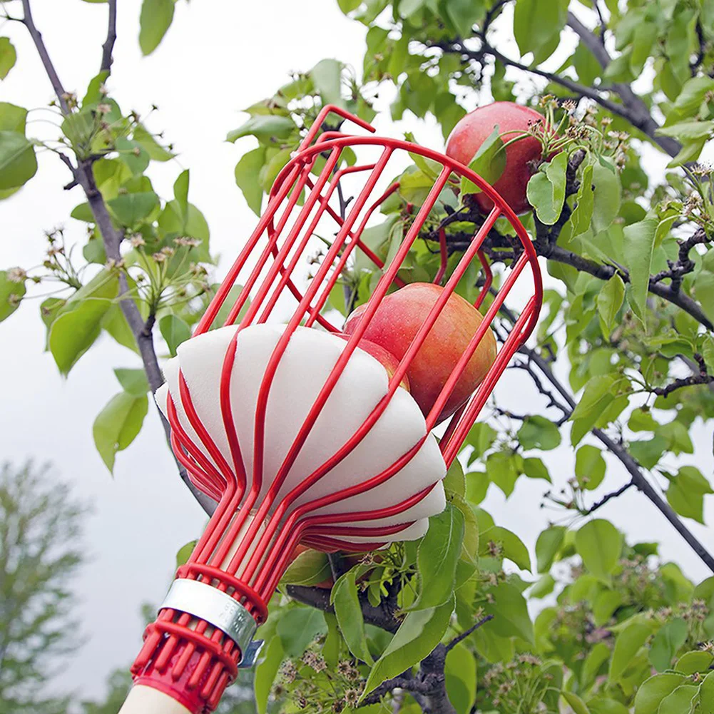 

Fruit Picker Tool Carbon Steel Garden Tool Fruit Picker Basket Detachable High Tree Fruit Catcher for Apple Peach Pear No Pole