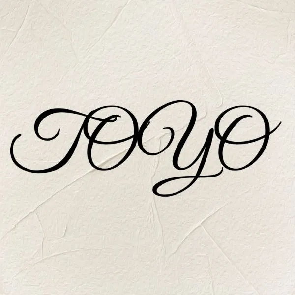 TOYO Store