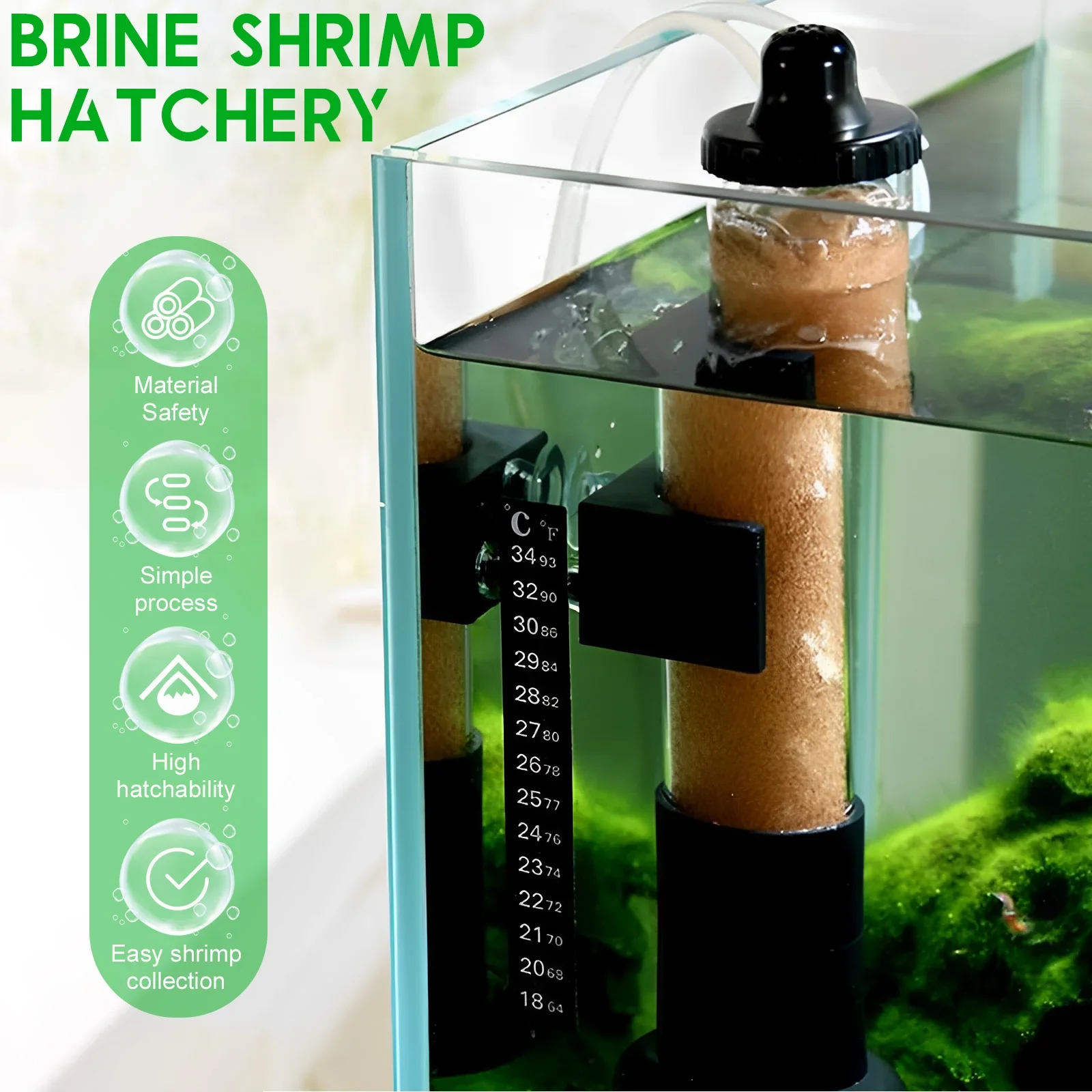 Brine Shrimp Hatchery Eggs Incubator Artemia DIY Aquarium Fish Tank