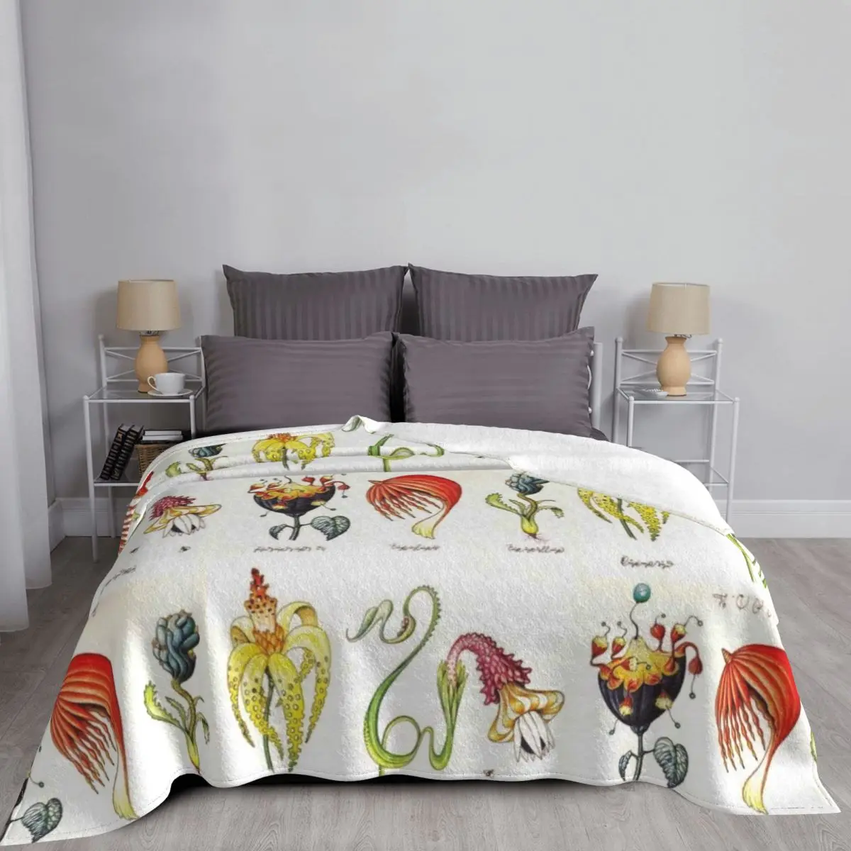 Codex Seraphinianus ������ ���, ���Ŀ� �ʴ��� ������ ���, ��� ħ�� ���