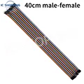 40cm Female-Male