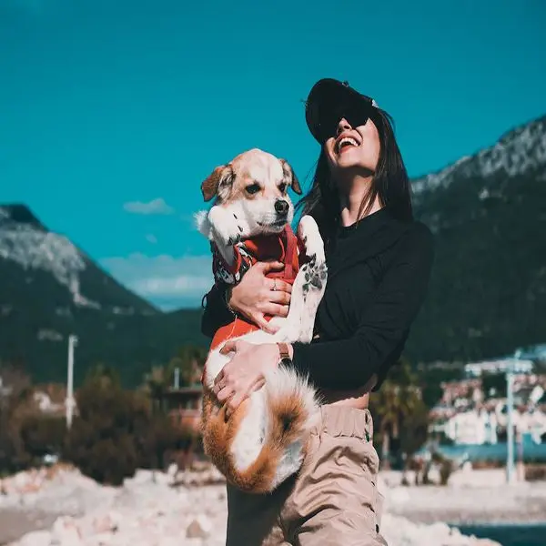 AOLAIDUO Professional Pet Products Store