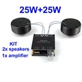 2 speakers 1 amp
