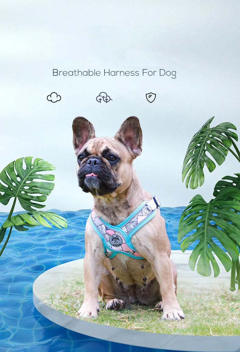 Luminous Adjustable Harness For Dogs - PeticaDeals