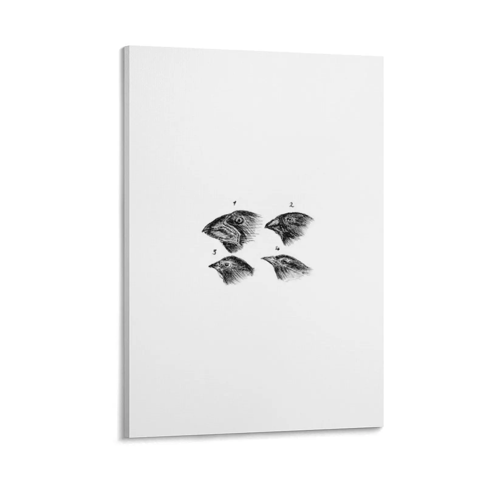 

Darwin's finches Canvas Painting Decor for room aesthetic room decoration Luxury living room decoration