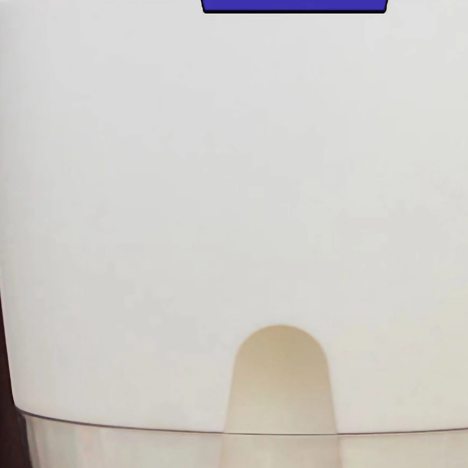 Self Watering Plastic Flowerpot 2