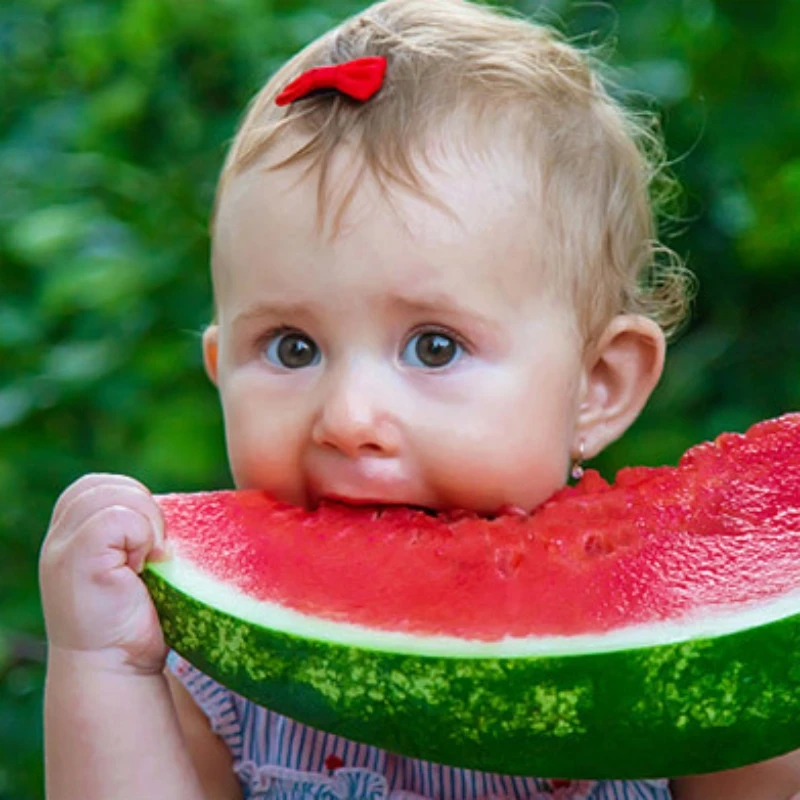 Portable Watermelon Seeding Removal Tool Stainless Steel Manual Fruit Deseeding Tool Silicone Handle