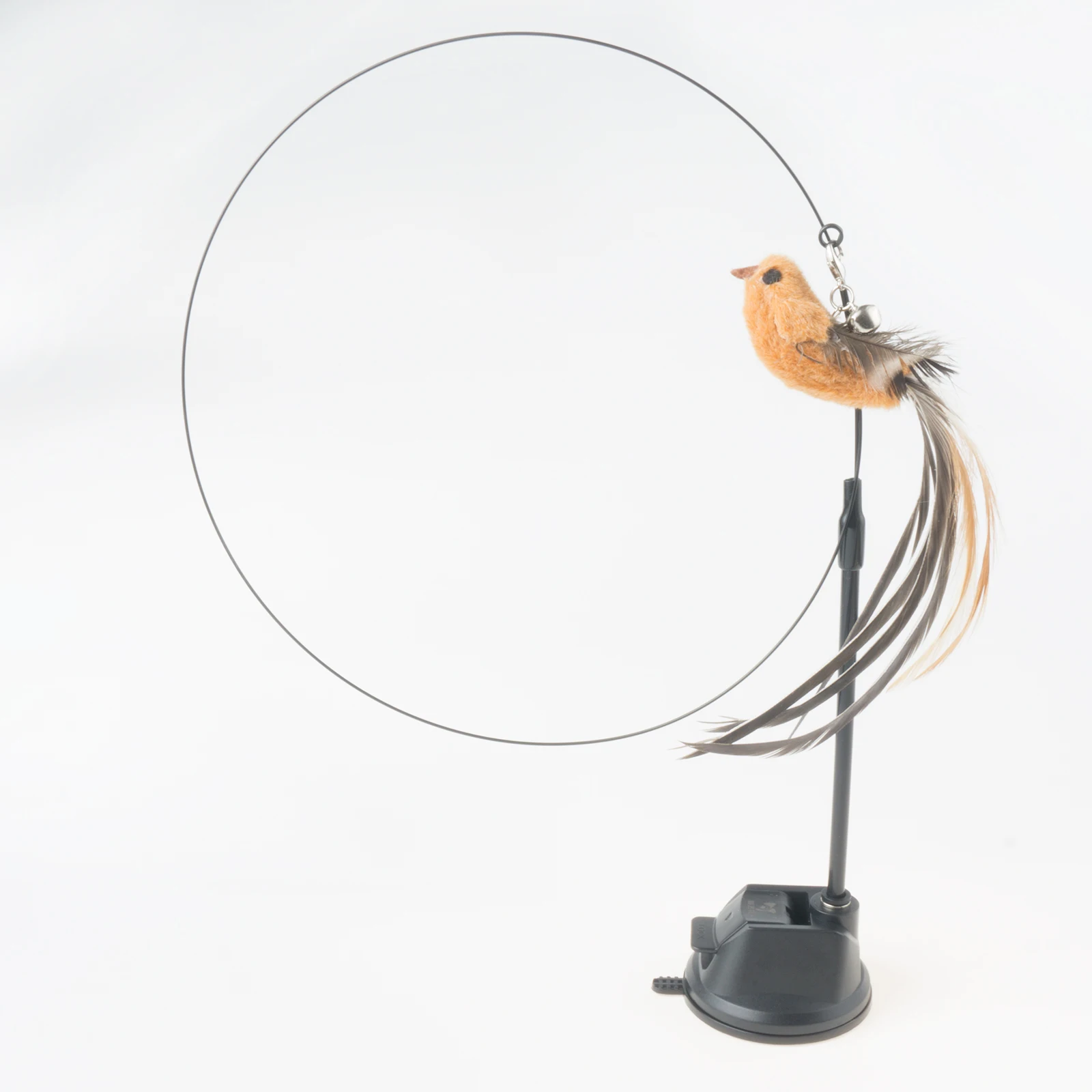 Whydah Bird Set
