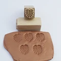 SQ LEAF