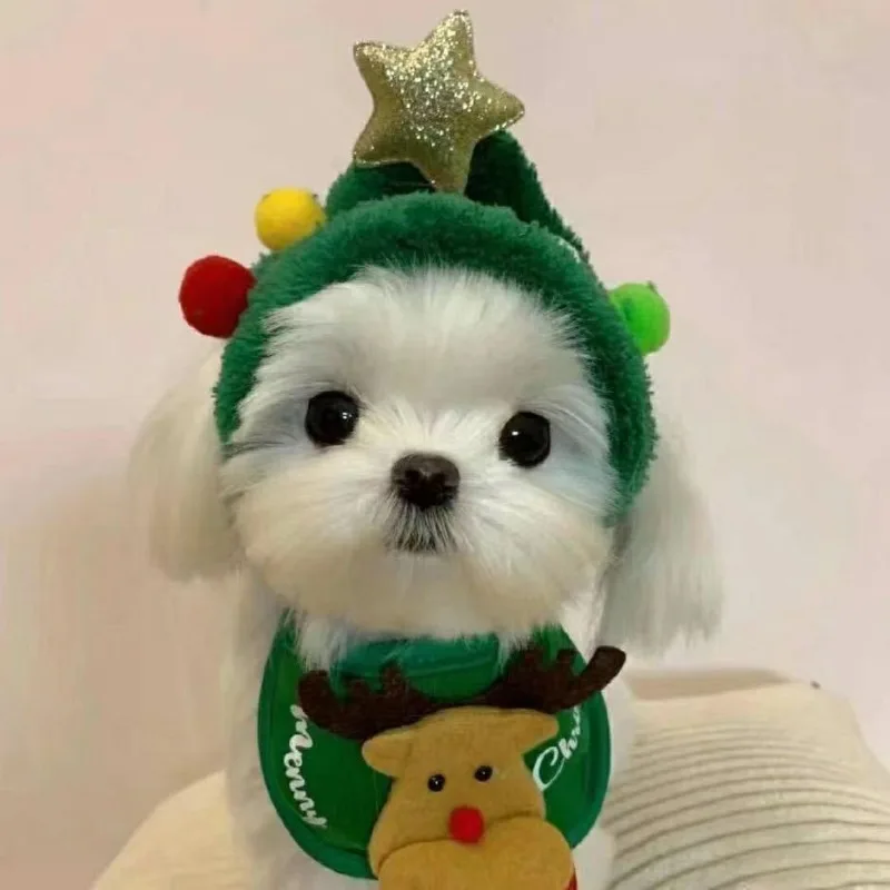 Christmas Dog Hats Puppy Dog Bib Santa Claus Elk Pet Costumes Lovely Autumn and Winter Clothes Cat Hat Big Dog New Year Dress Up