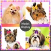 40PCS Dog Hair Bows Solid Diamond Small Dog Bows For Dogs Pets Hair Accessories Pet Dog Grooming Bows Dogs Grooming Accessories 2