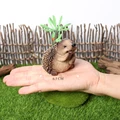 Hedgehog-9