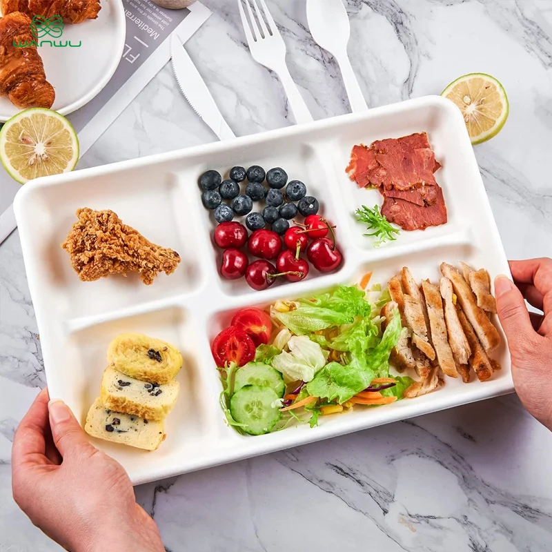 5 grid plates,25 disposable paper plates, heavy duty biodegradable sugarcane trays, eco-friendly school lunch trays