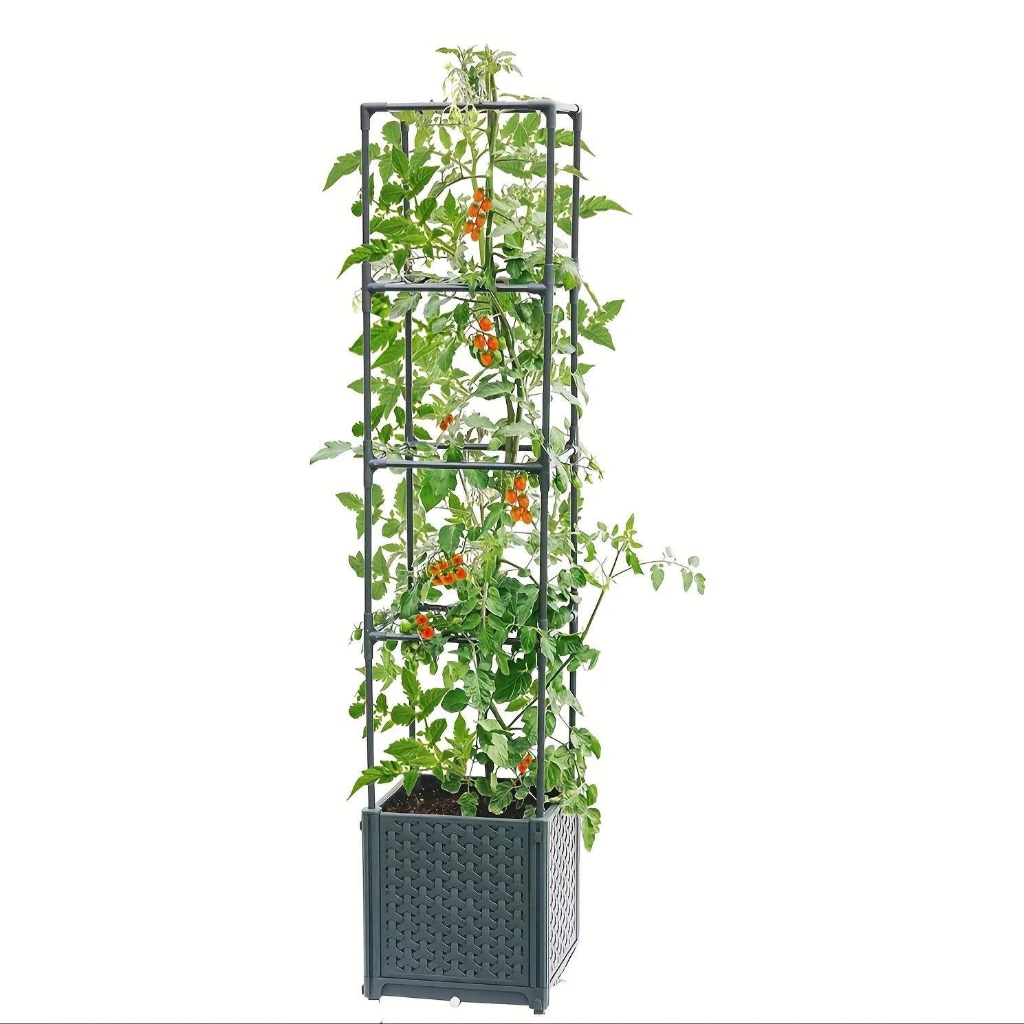 Raised Garden Bed with Tomato Planter Cage