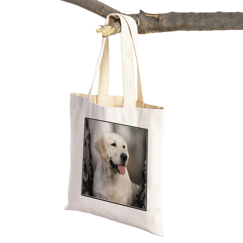 

Casual Labrador Retriever Shopper Bag Lady Canvas Tote Handbag Reusable Cute Pet Animal Print Shoulder Shopping Bag for Women