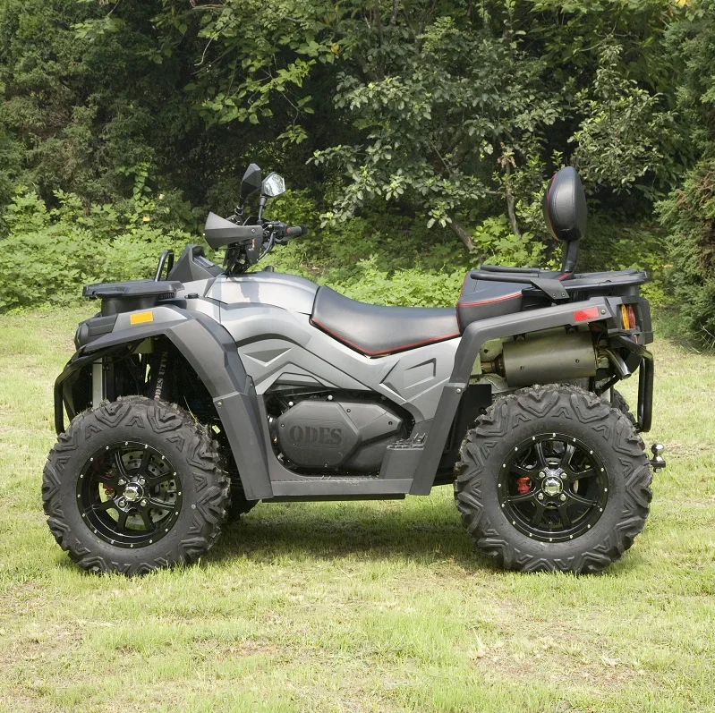 Рисунок 5 - Популярный Стиль 800cc Atv 4 колеса