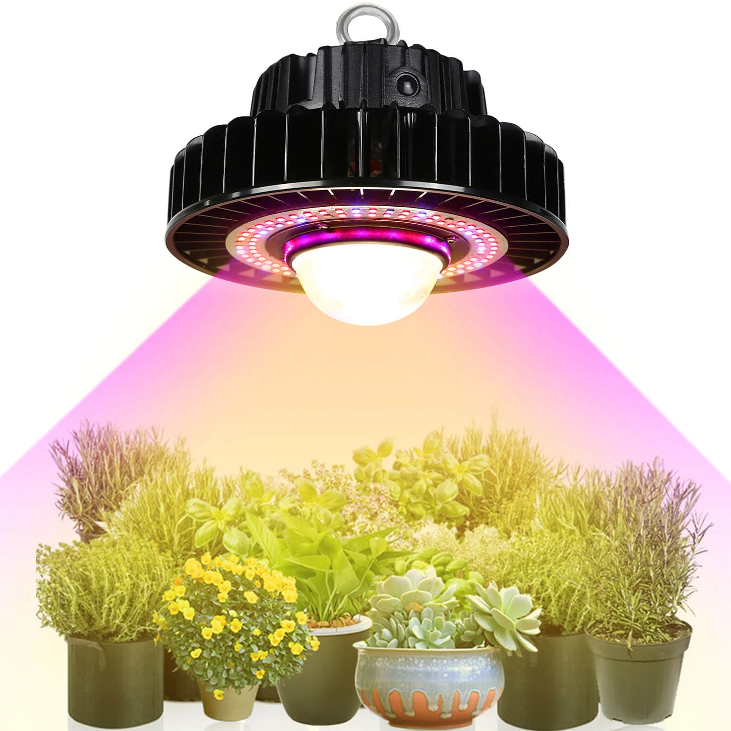 삼성 퀀텀 LM301B LED 성장 조명, 풀 스펙트럼 1000W CREE CXB3590 COB 실내 식물 램프, 온실 채소 ...