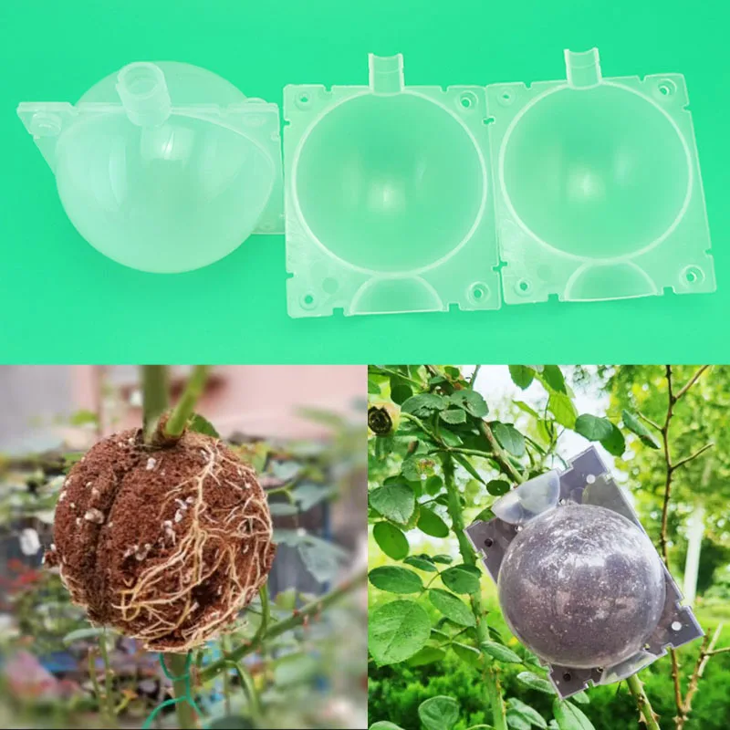 New 5cm Plant Rooting Ball Grafting Rooting Case fruit tree flower branch Growing Box Breeding Container Nursery grow Root pots