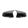 Carbon Fiber Horn